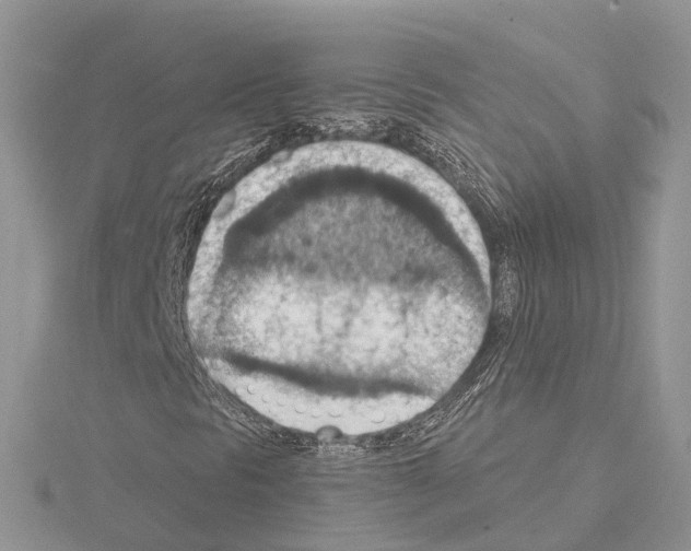 X0000115021297200912071018