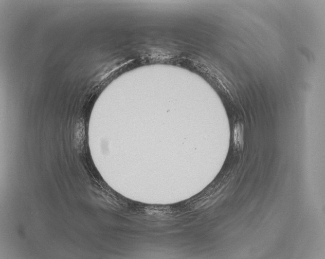 X0000115021299200912071018