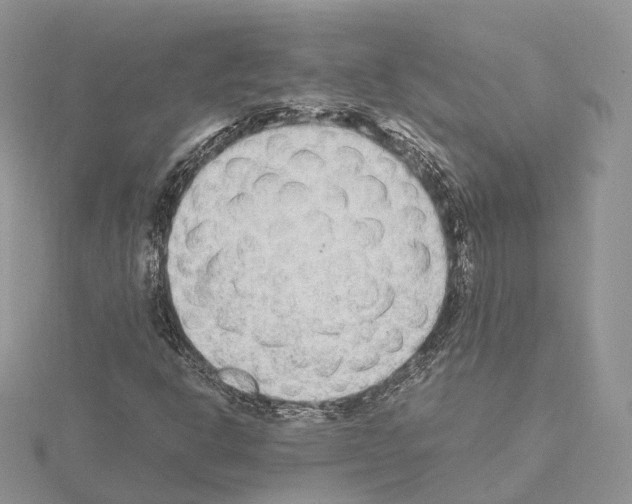 X0000115021302200912071018