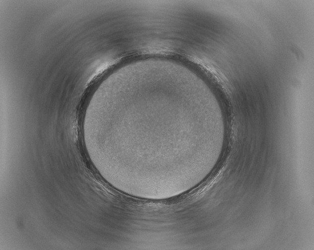 X0000115021306200912071019