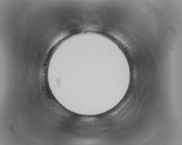 X0000115021309200912071019