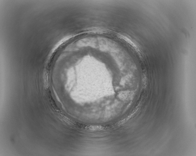 X0000115021310200912071019