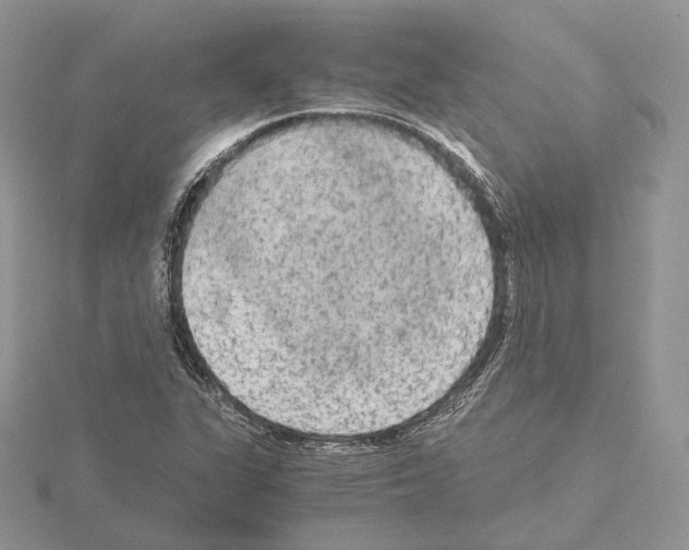 X0000115021311200912071019