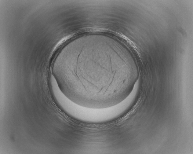 X0000115021314200912071019