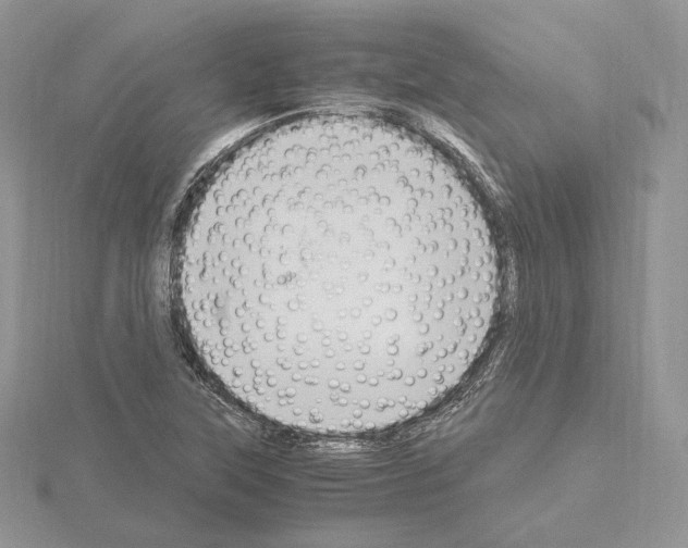 X0000115021315200912071019