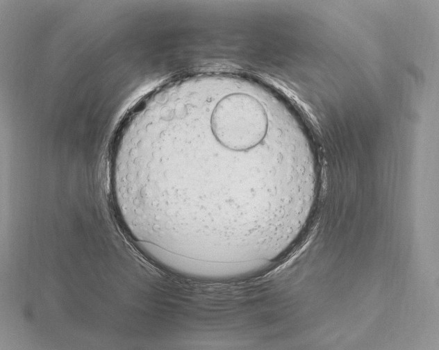 X0000115021317200912071019