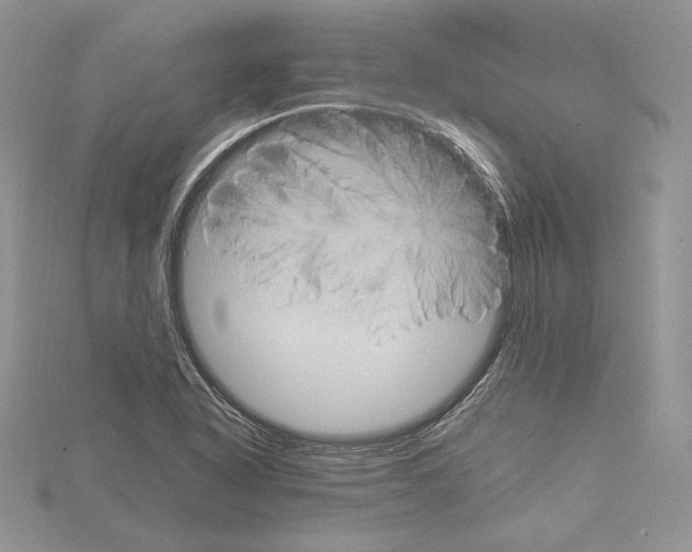 X0000115021318200912071019