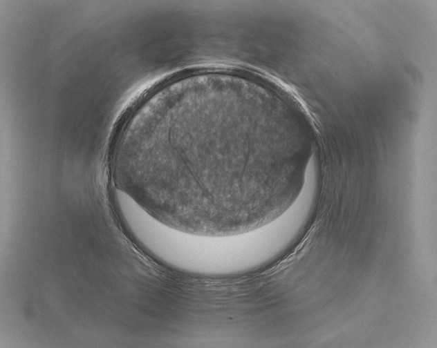 X0000115021319200912071019