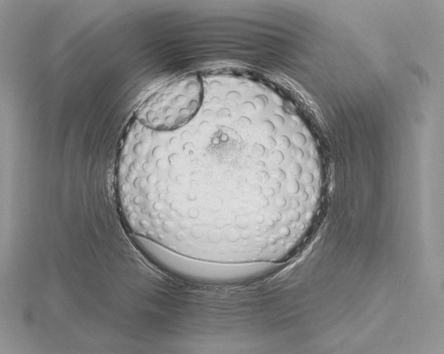 X0000115021321200912071019