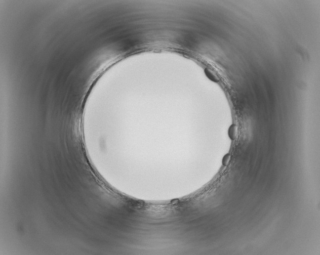 X0000115021322200912071019