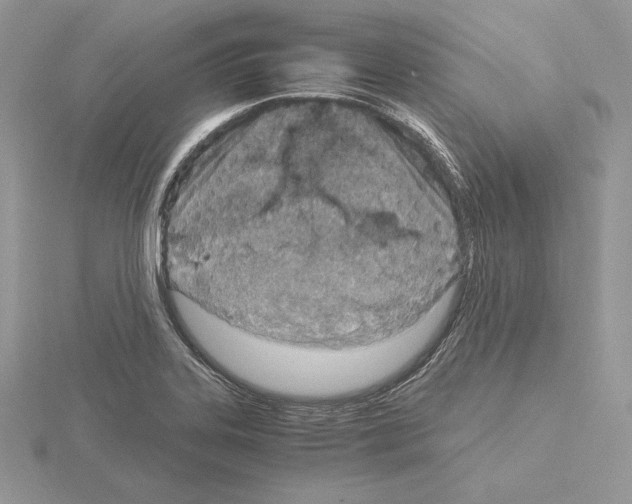 X0000115021323200912071019