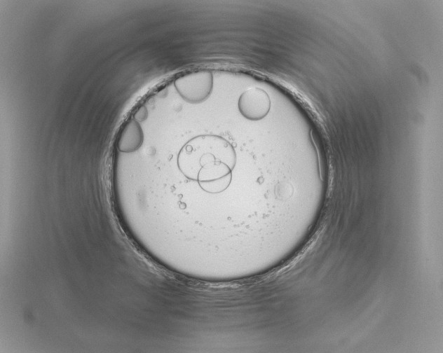 X0000115021325200912071019