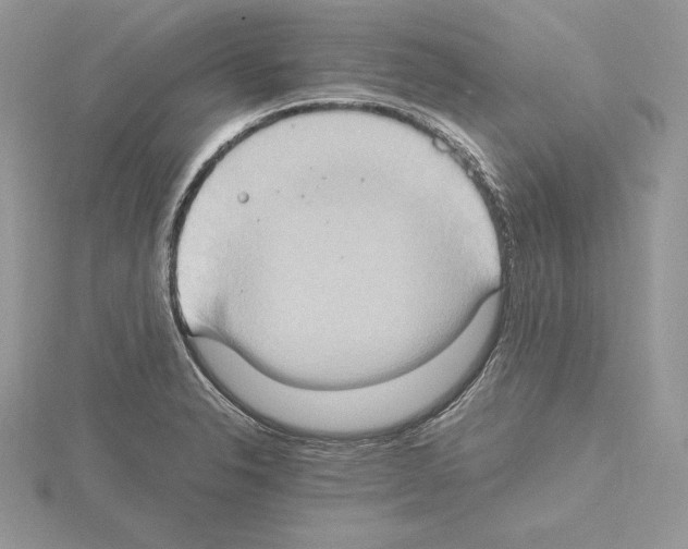 X0000115021326200912071019