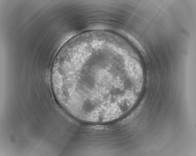 X0000115021329200912071019