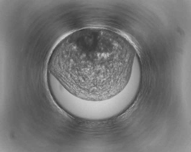 X0000115021331200912071019