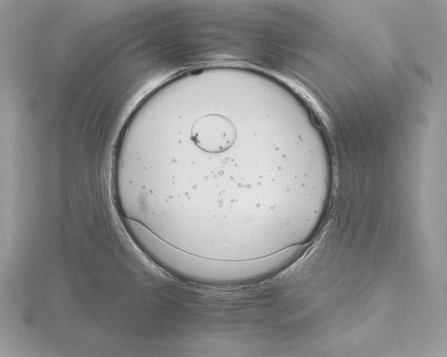 X0000115021333200912071019