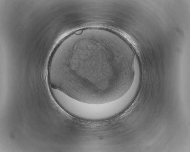 X0000115021334200912071019