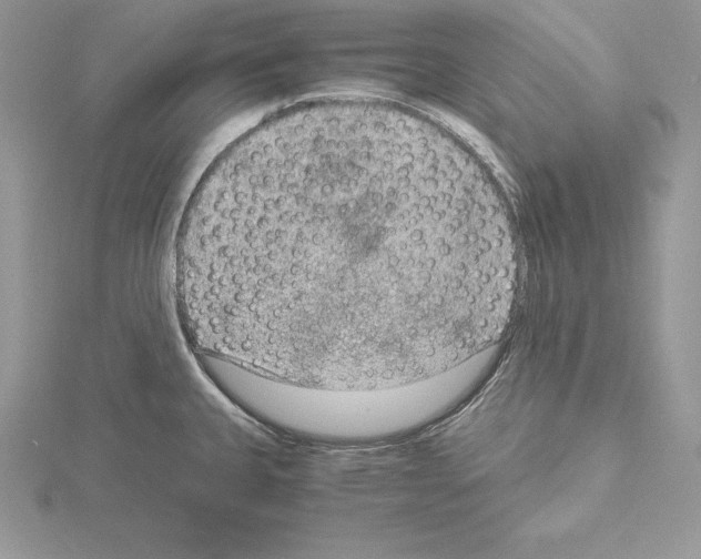 X0000115021335200912071019