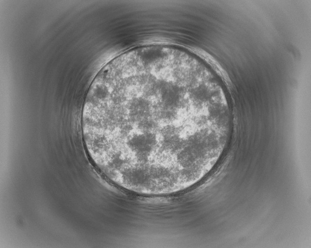 X0000115021337200912071019