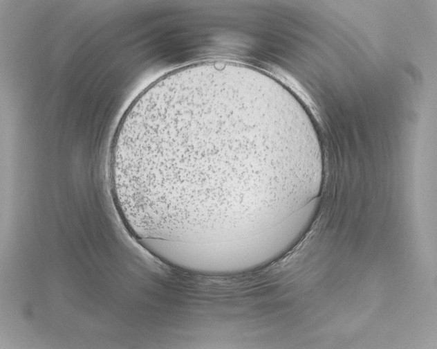 X0000115021339200912071019