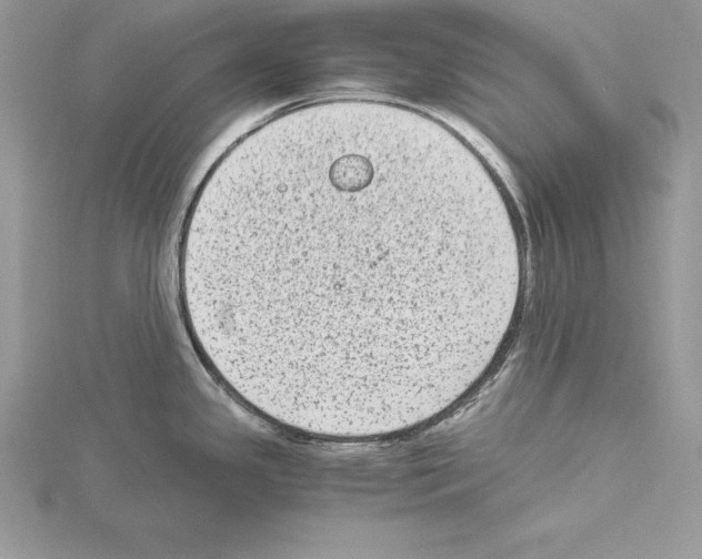 X0000115021341200912071019