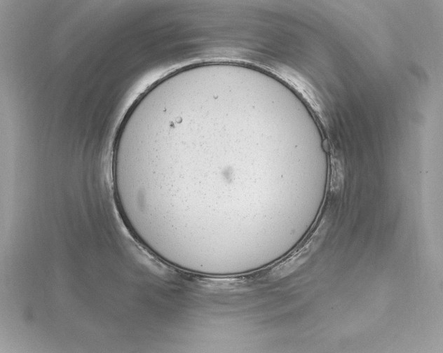 X0000115021342200912071019