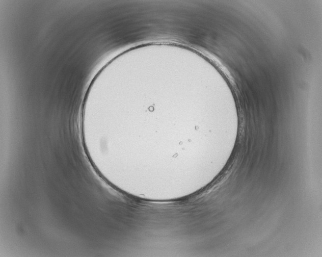 X0000115021343200912071019