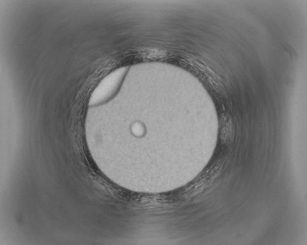 X0000115021345200912071018