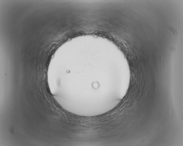 X0000115021349200912071018