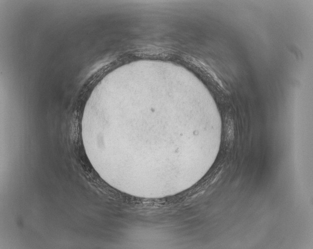 X0000115021350200912071018