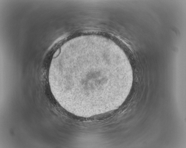 X0000115021351200912071018