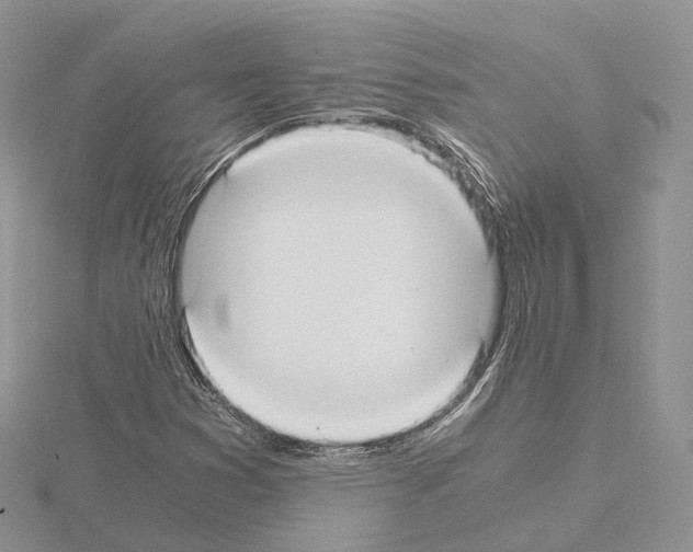 X0000115021353200912071018