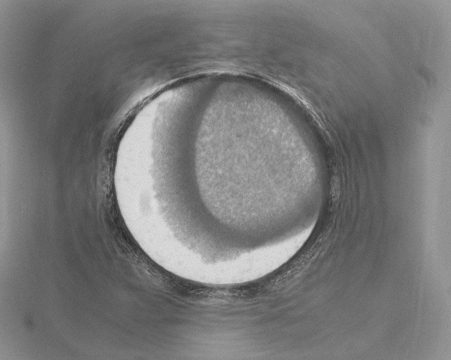 X0000115021359200912071018