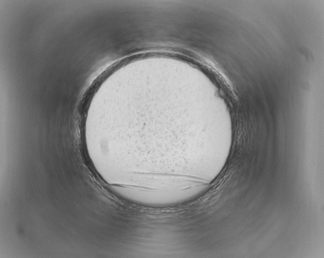 X0000115021360200912071018