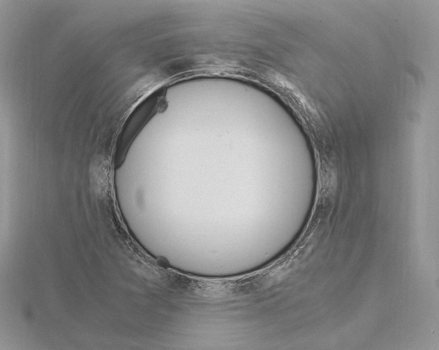 X0000115021361200912071018