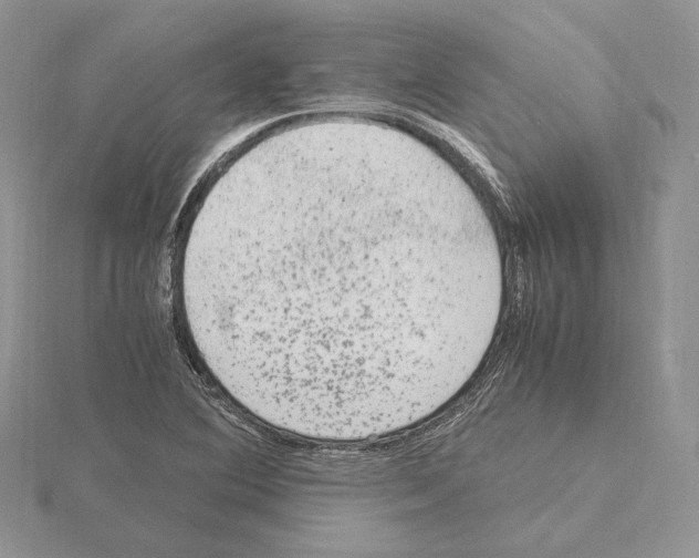 X0000115021364200912071018