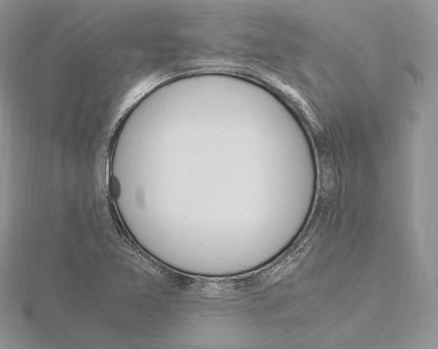 X0000115021365200912071018