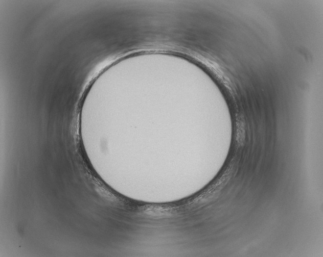 X0000115021366200912071018