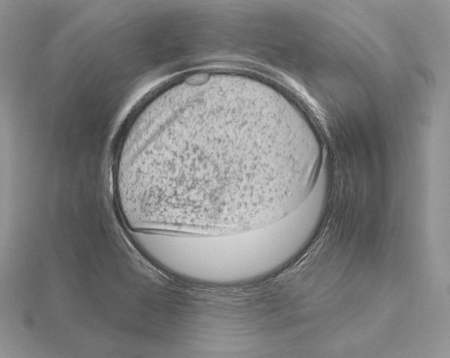 X0000115021368200912071018