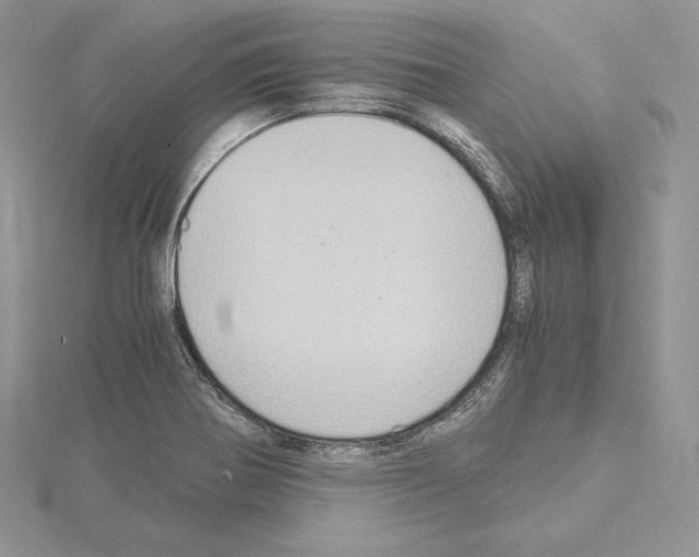 X0000115021370200912071018