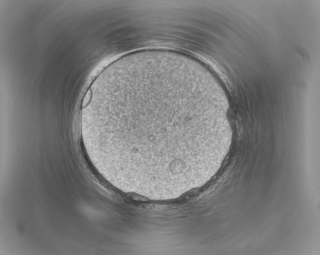 X0000115021371200912071018