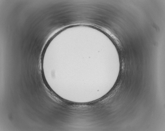 X0000115021372200912071018