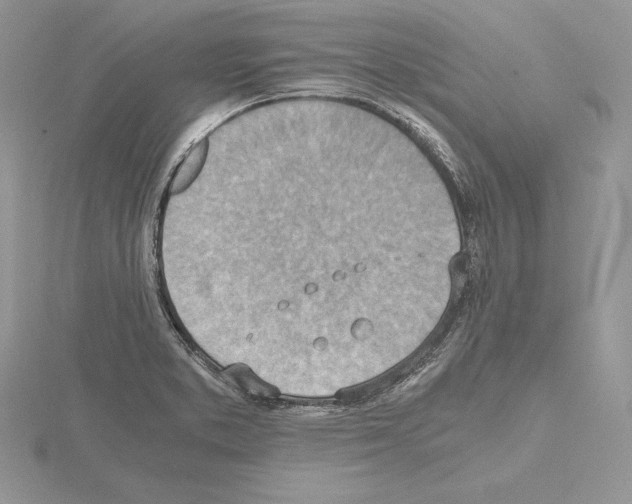 X0000115021373200912071018