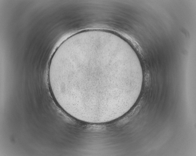 X0000115021374200912071018