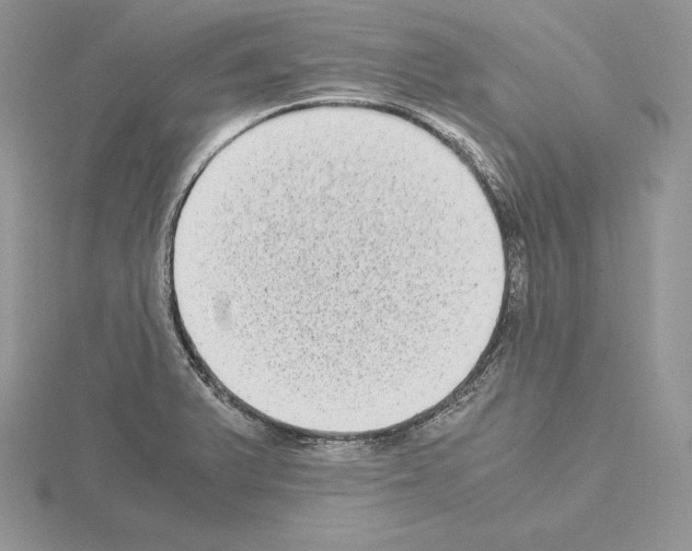 X0000115021375200912071018