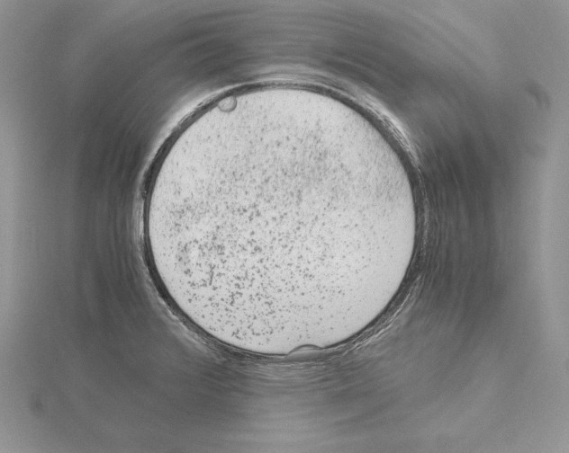 X0000115021376200912071018