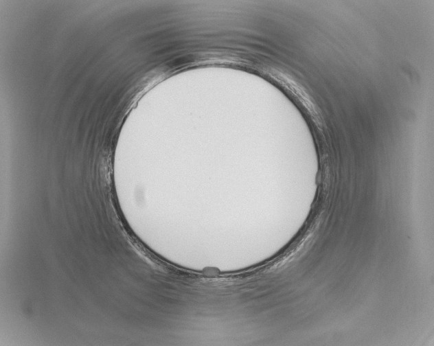 X0000115021377200912071018