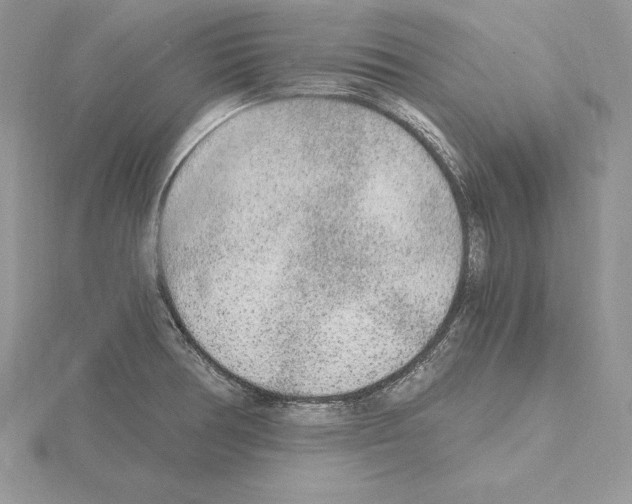 X0000115021378200912071018