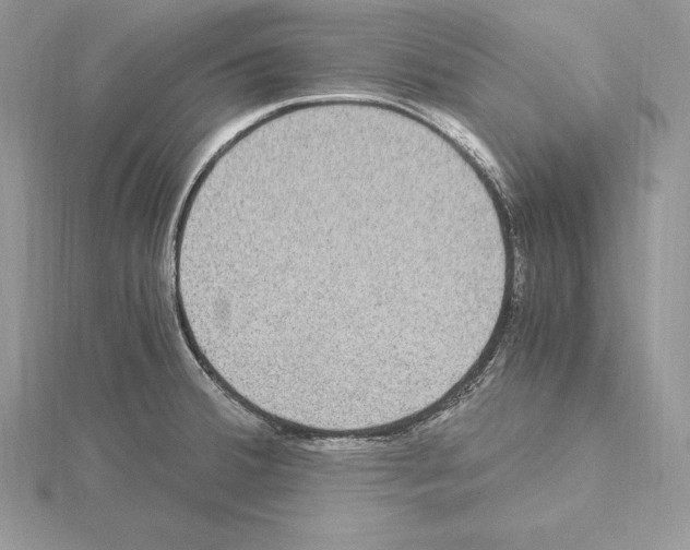 X0000115021380200912071018