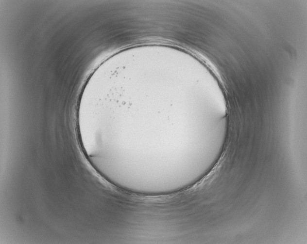 X0000115021381200912071018